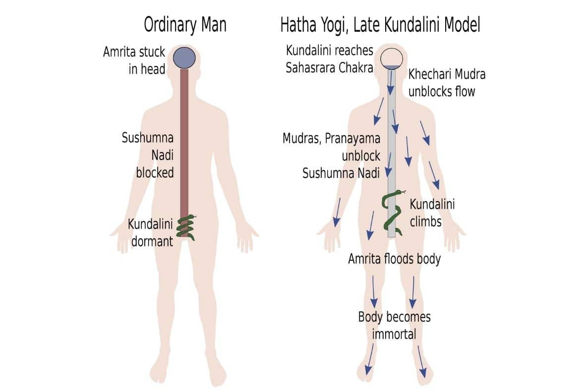 Kundalini's Journey: methods of preparing to awaken kundalini - Samarali